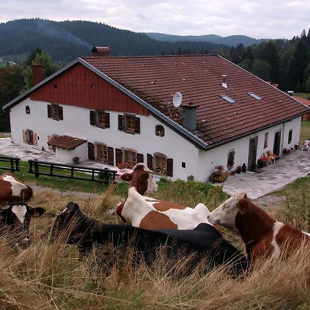 Appartement La Timoniere Gérardmer Zewnętrze zdjęcie