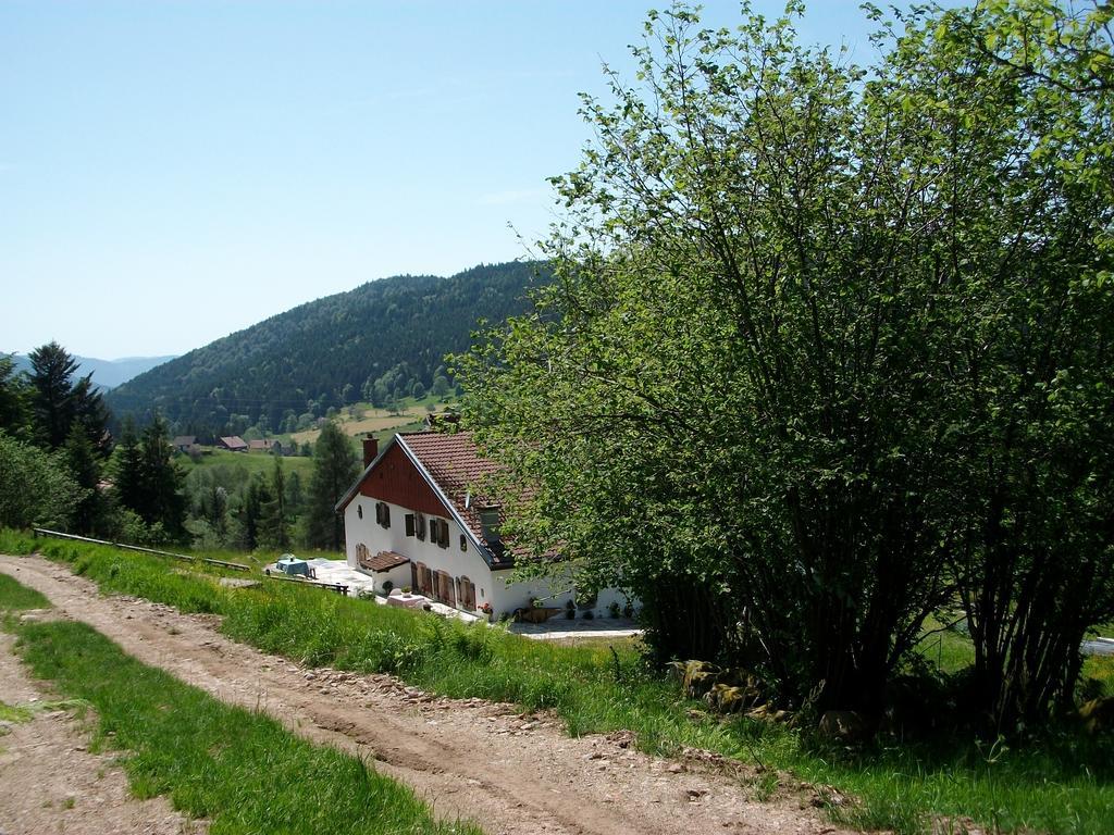 Appartement La Timoniere Gérardmer Zewnętrze zdjęcie