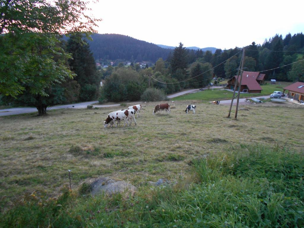 Appartement La Timoniere Gérardmer Zewnętrze zdjęcie