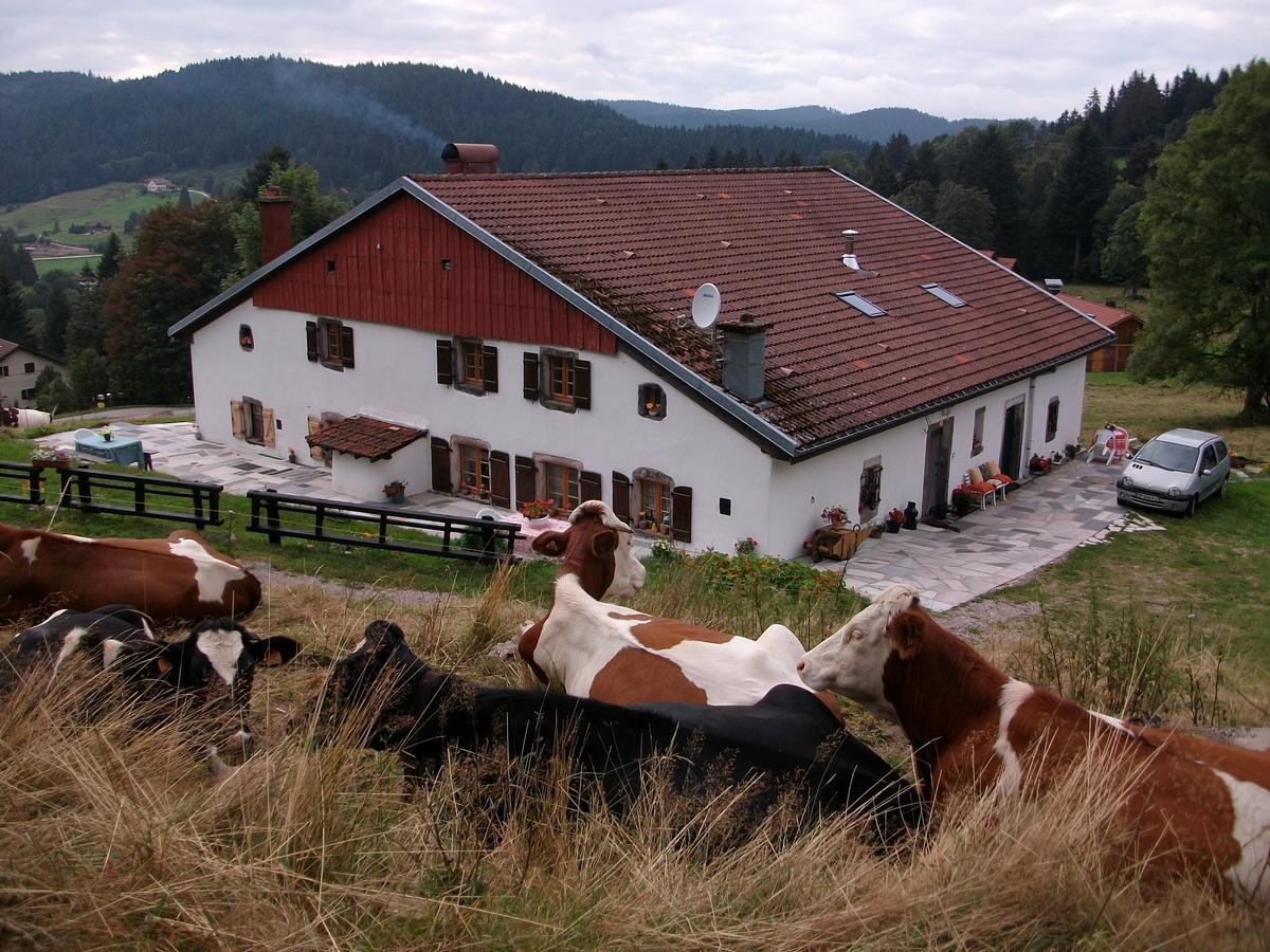 Appartement La Timoniere Gérardmer Zewnętrze zdjęcie