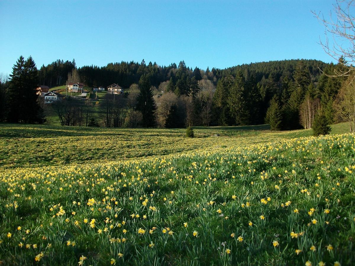 Appartement La Timoniere Gérardmer Zewnętrze zdjęcie